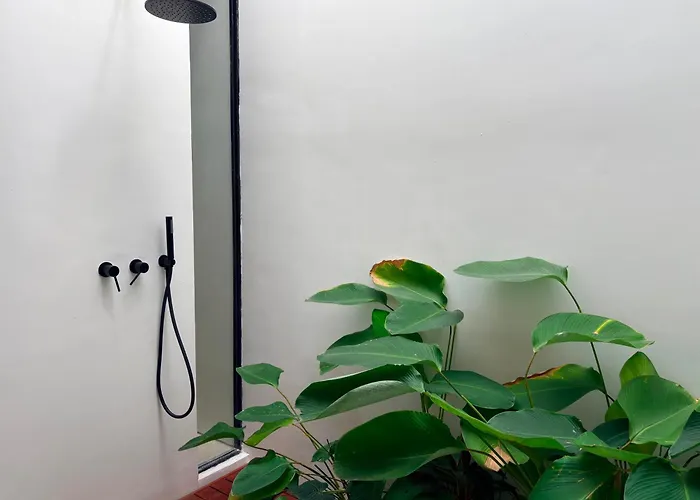 Serenity Apartamento
